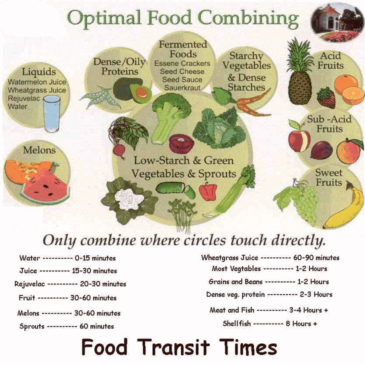 Food transit times