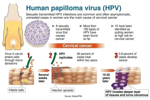 do all strains of hpv cause cervical cancer